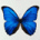ptoulotte's Avatar