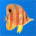 RUSH's Avatar